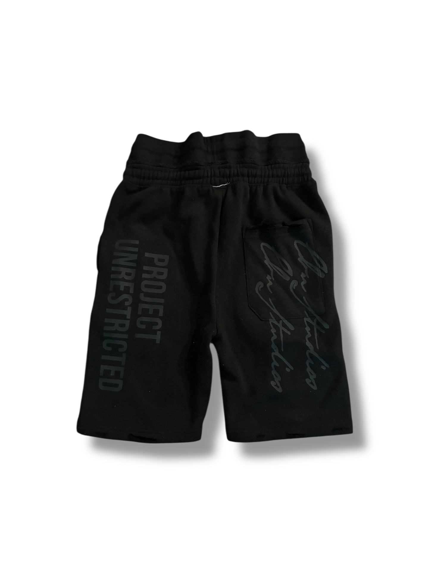 Double Rim Project Unrestricted Shorts (1/1)